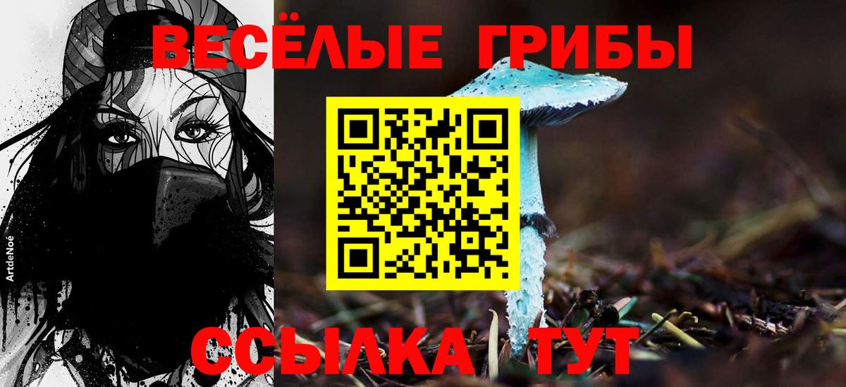 Псилоцибиновые грибы Psilocybe  купить закладку  Соль-Илецк  Вход с VPN 